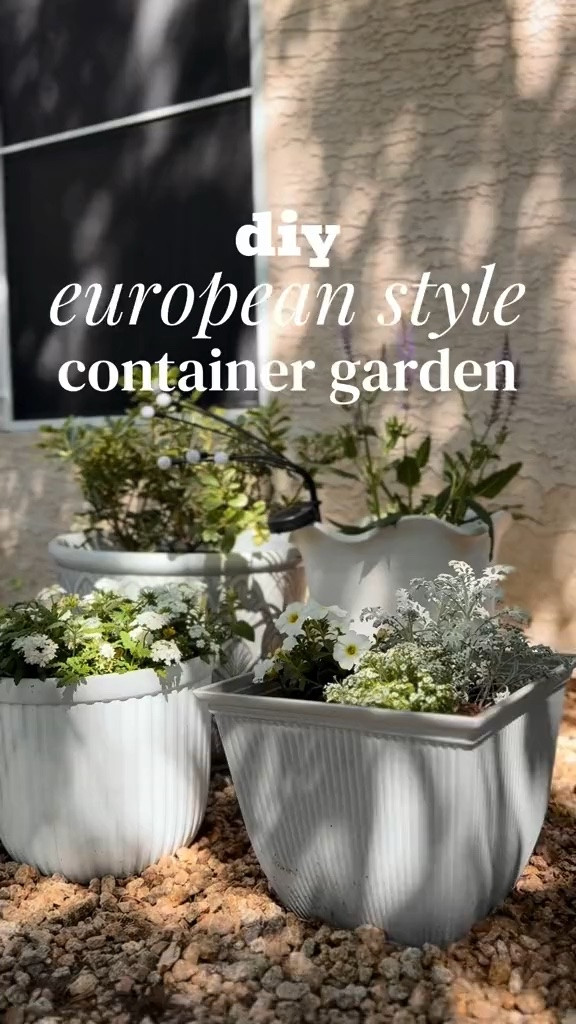 container garden ideas. white planter pot. moon garden ideas. patio garden ideas.

#LTKHome #LTKSeasonal #LTKSaleAlert