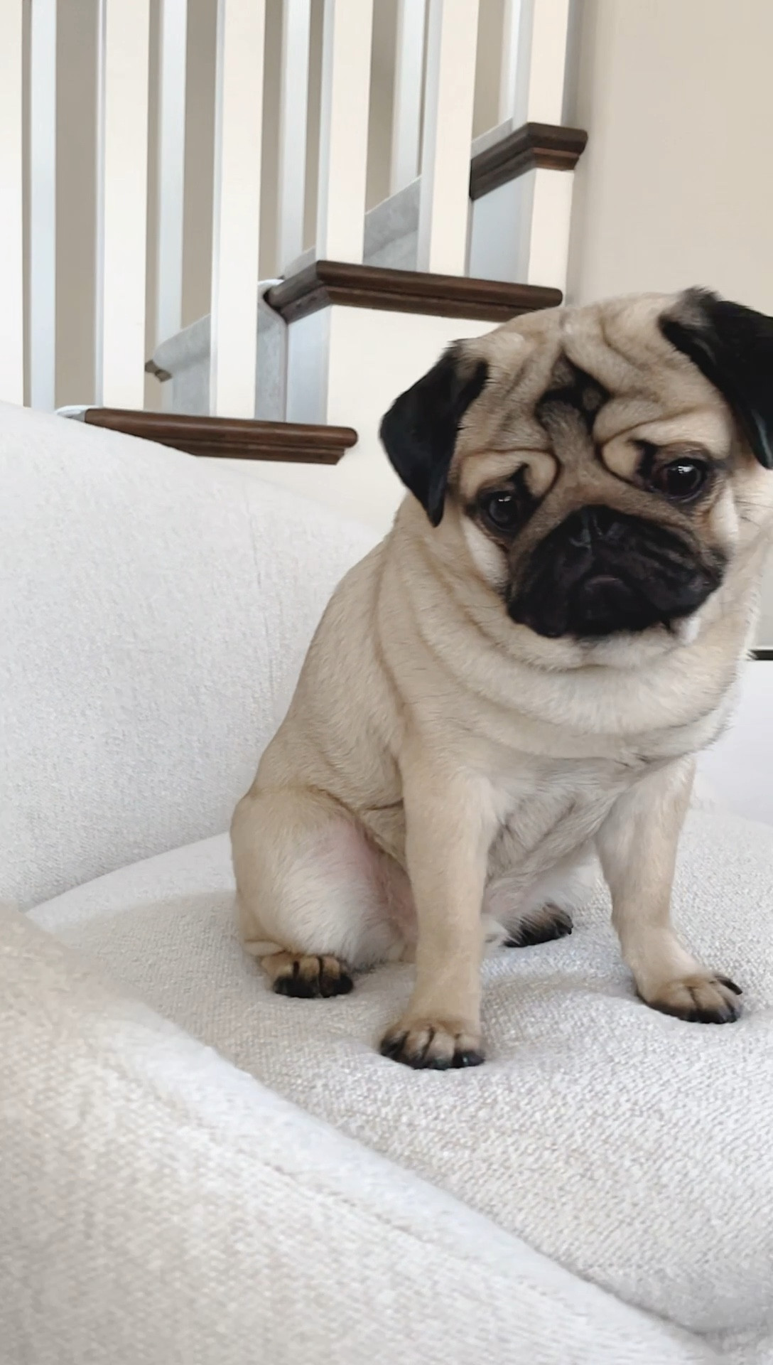 Our new living room chairs arrived! Six weeks earlier than our original estimate 🙏🏻❤️ It’s been so exciting to slowly pick out permanent pieces for our home and watch it slowly come together. What do you think? 

#LTKstyletip #LTKhome #LTKfamily