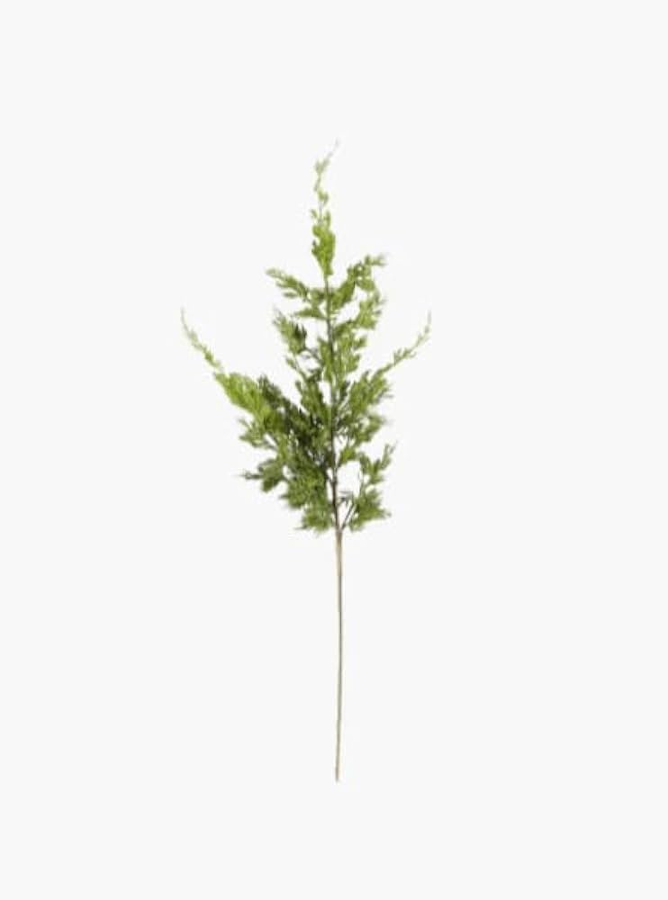 Real Touch Cypress Pine Branch | Amazon (US)