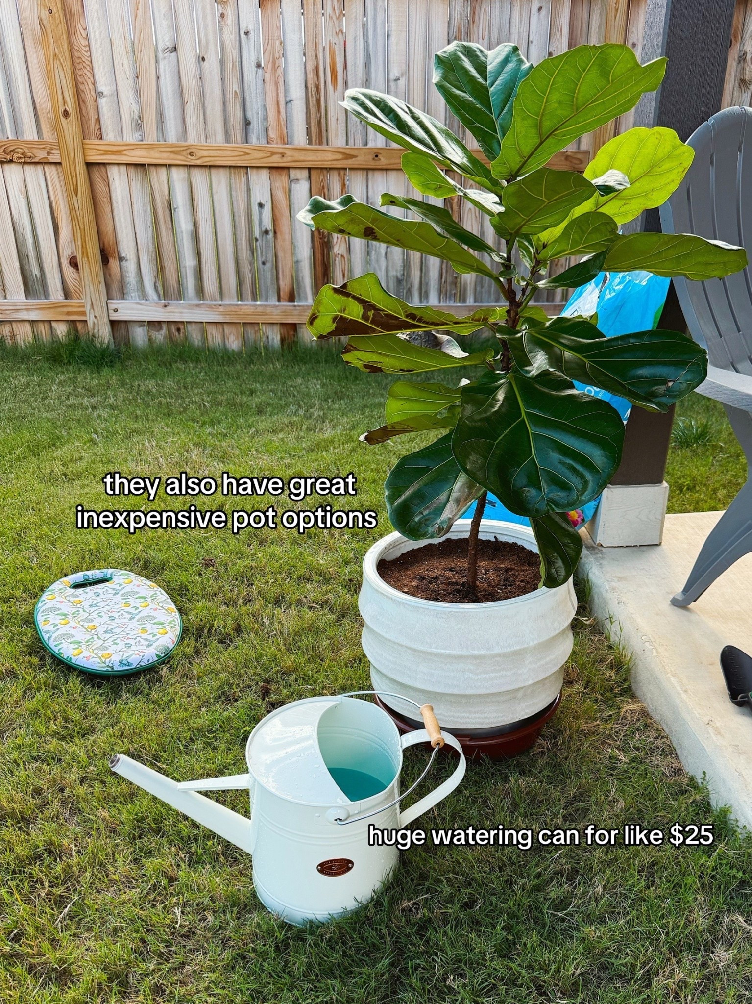 I have been on a big gardening kick ever since I got a fiddle leaf fig tree as a gift - I never realized how hard plants were to keep alive so I found a larger ceramic pot to replant the plant, a large white watering can, garden kneeling pad to protect my knees, and much more 

#LTKFamily #LTKHome #LTKSeasonal