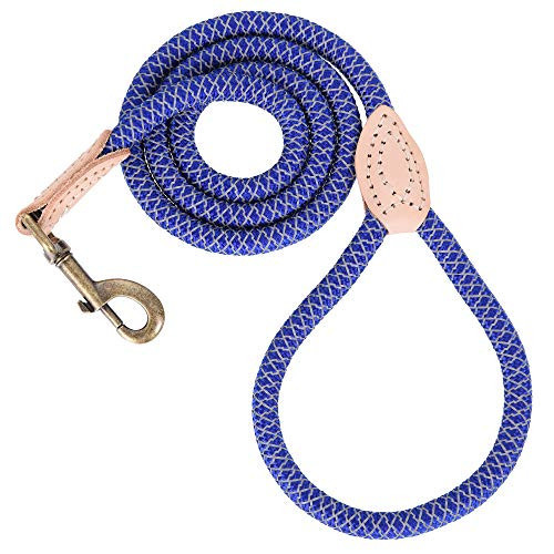 Mile High Life Reflective Dog Leash - Heavy Duty Climbing Rope Leash for Small to Large Dogs, 72 Inch Blue with Leather Tip | Amazon (US)