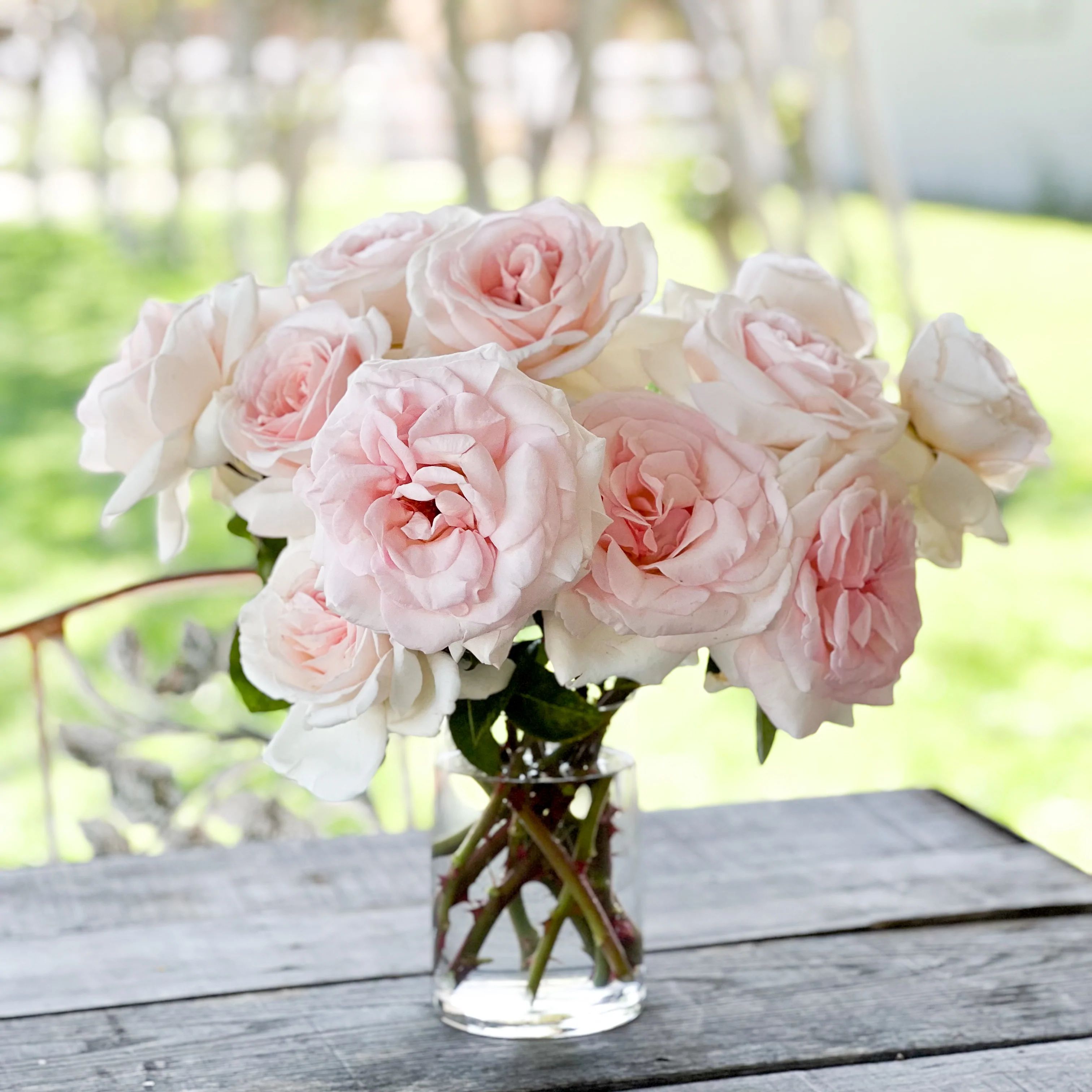 Summer Blush Bouquet | Grace Rose Farm