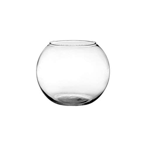 Floral Supply Online - Rose Bowl and Flower Guide Booklet - Small Glass Round Vase for Weddings, Eve | Amazon (US)