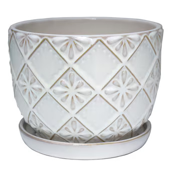 allen + roth Round 8.07-in W x 17.88-in L x 6.69-in H Cream Ceramic Indoor Planter Attached Sauce... | Lowe's