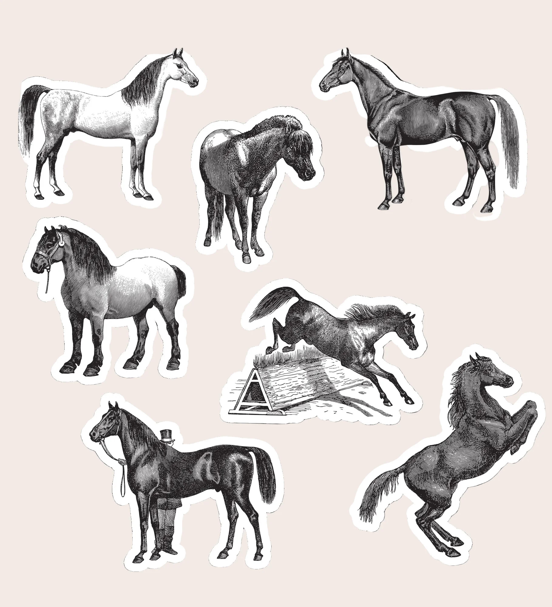Ink Horses | Suteka