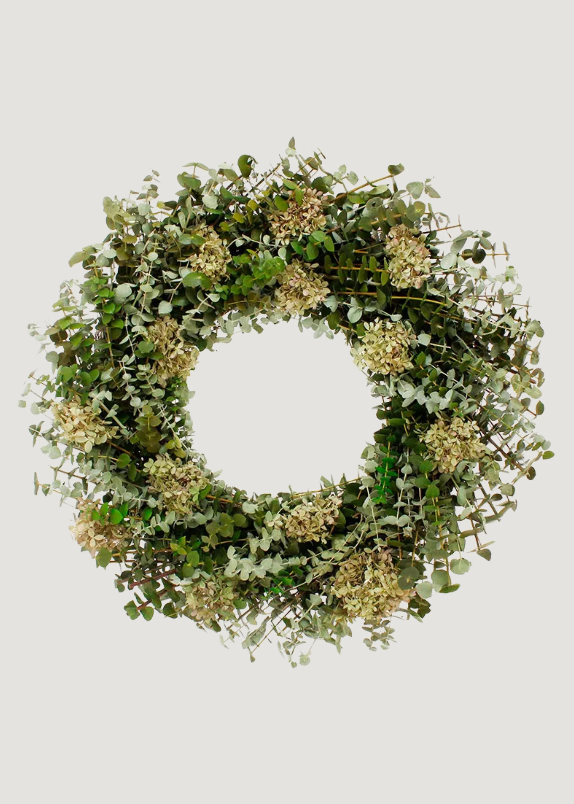 Mixed Green Preserved Eucalyptus and Hydrangea Wreath - 22" | Afloral