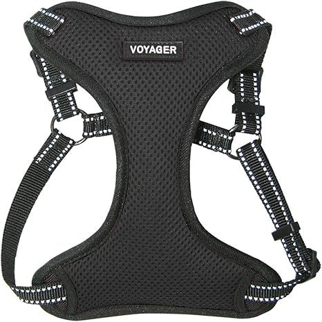 Voyager Step-In Flex Dog Harness - All Weather Mesh, Step In Adjustable Harness for Small and Med... | Amazon (US)