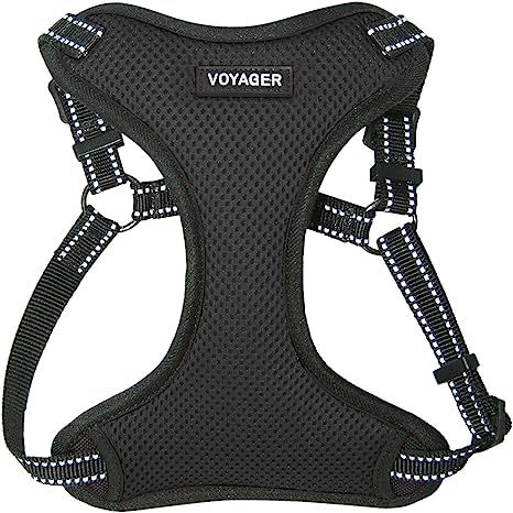 Voyager Step-In Flex Dog Harness - All Weather Mesh, Step In Adjustable Harness for Small and Med... | Amazon (US)