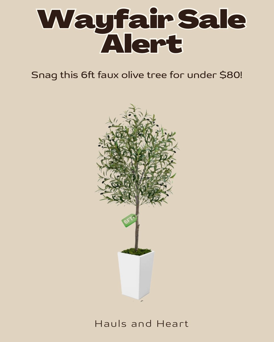 Wayfair sale alert 🚨 This 6ft faux olive tree is under $80 and looks way more expensive than it is. Perfect for corners, entryways, or anywhere you want that soft Mediterranean vibe without the upkeep.


faux olive tree, artificial tree, Wayfair sale, neutral home decor, living room decor, entryway decor, affordable home decor

#LTKHome #LTKSaleAlert #LTKSeasonal