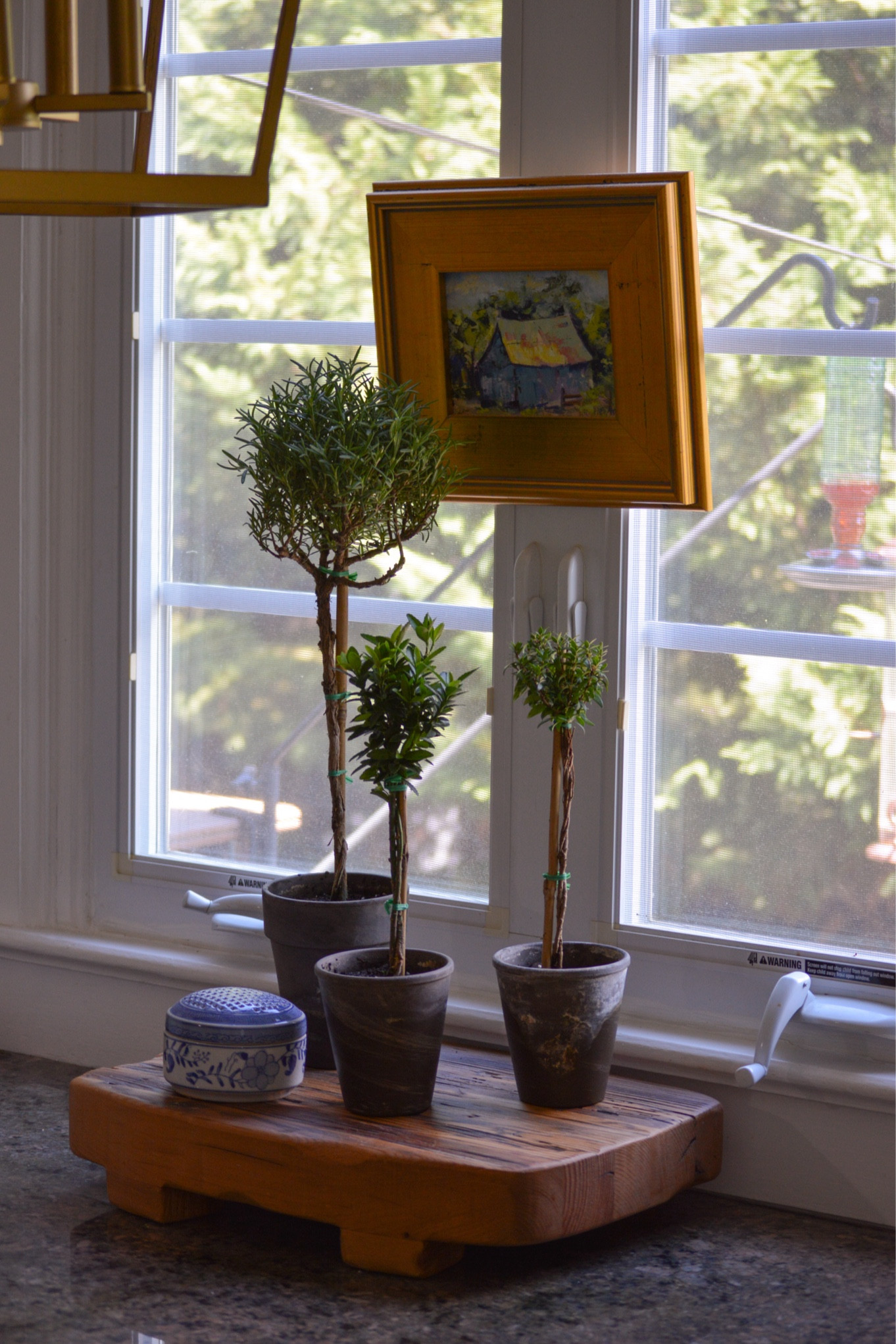 $30 potted live topiaries from Etsy!! 

#LTKHome #LTKFindsUnder50