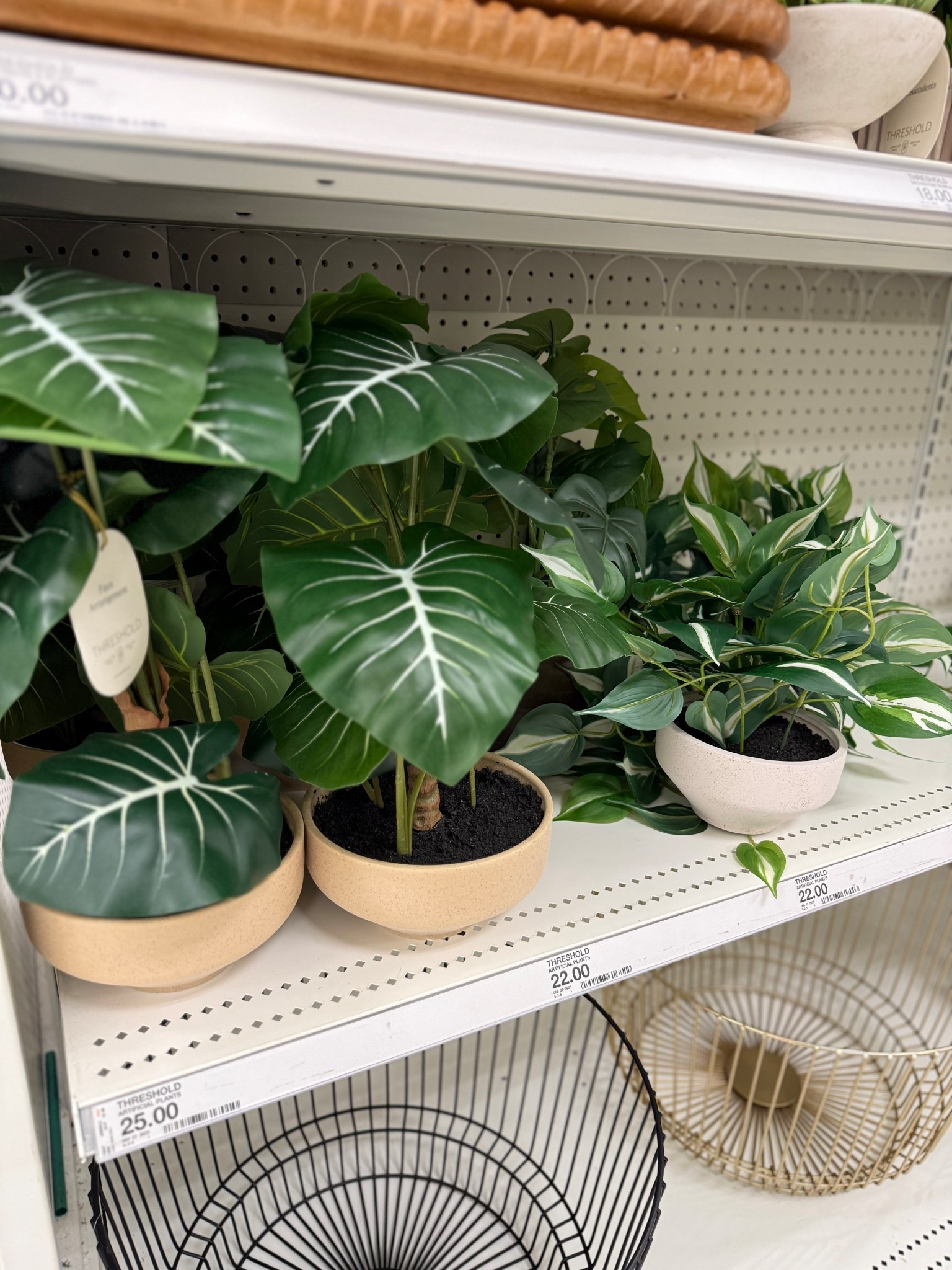 Faux plants!

#LTKHome #LTKSeasonal