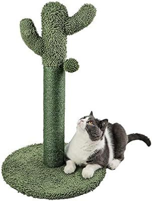 Catinsider 25.6" Cactus Cat Scratching Post with Dangling Ball | Amazon (US)