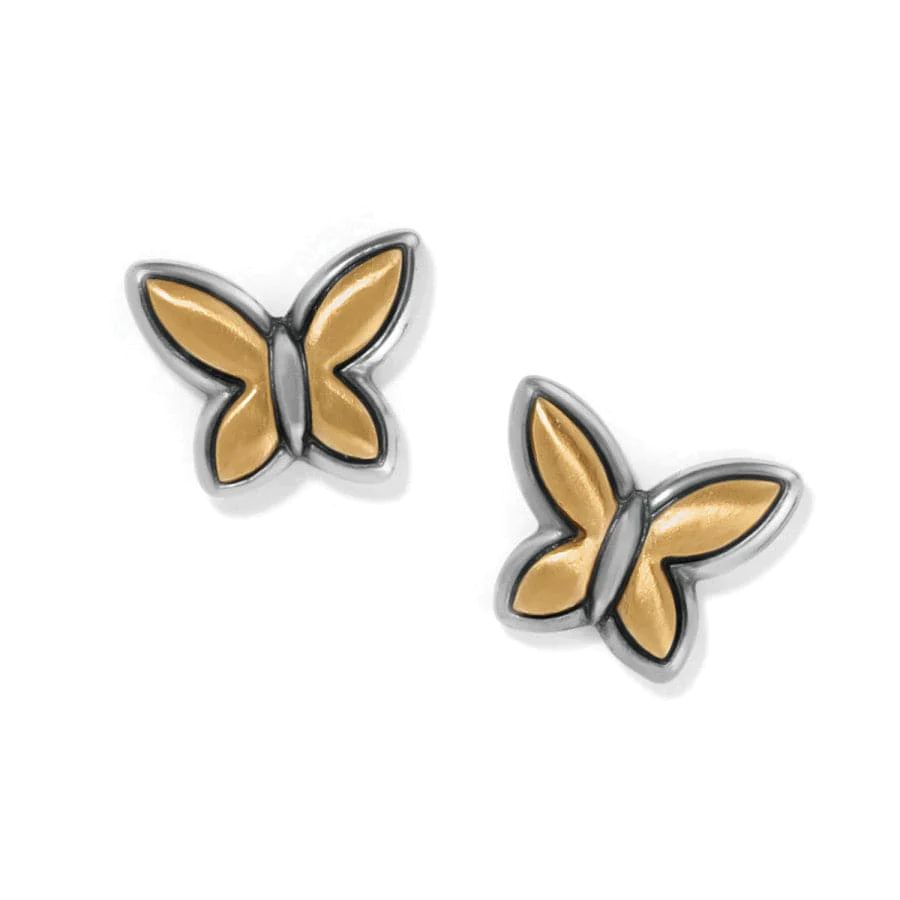 Goldie Wings Mini Post Earrings | Brighton