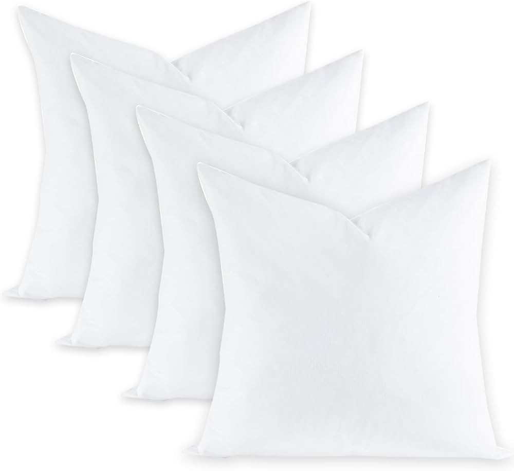 Fluffy Feather Throw Pillow Inserts Set of 4, Soft Square 22 x 22 Inches Decorative Pillow Insert... | Amazon (US)