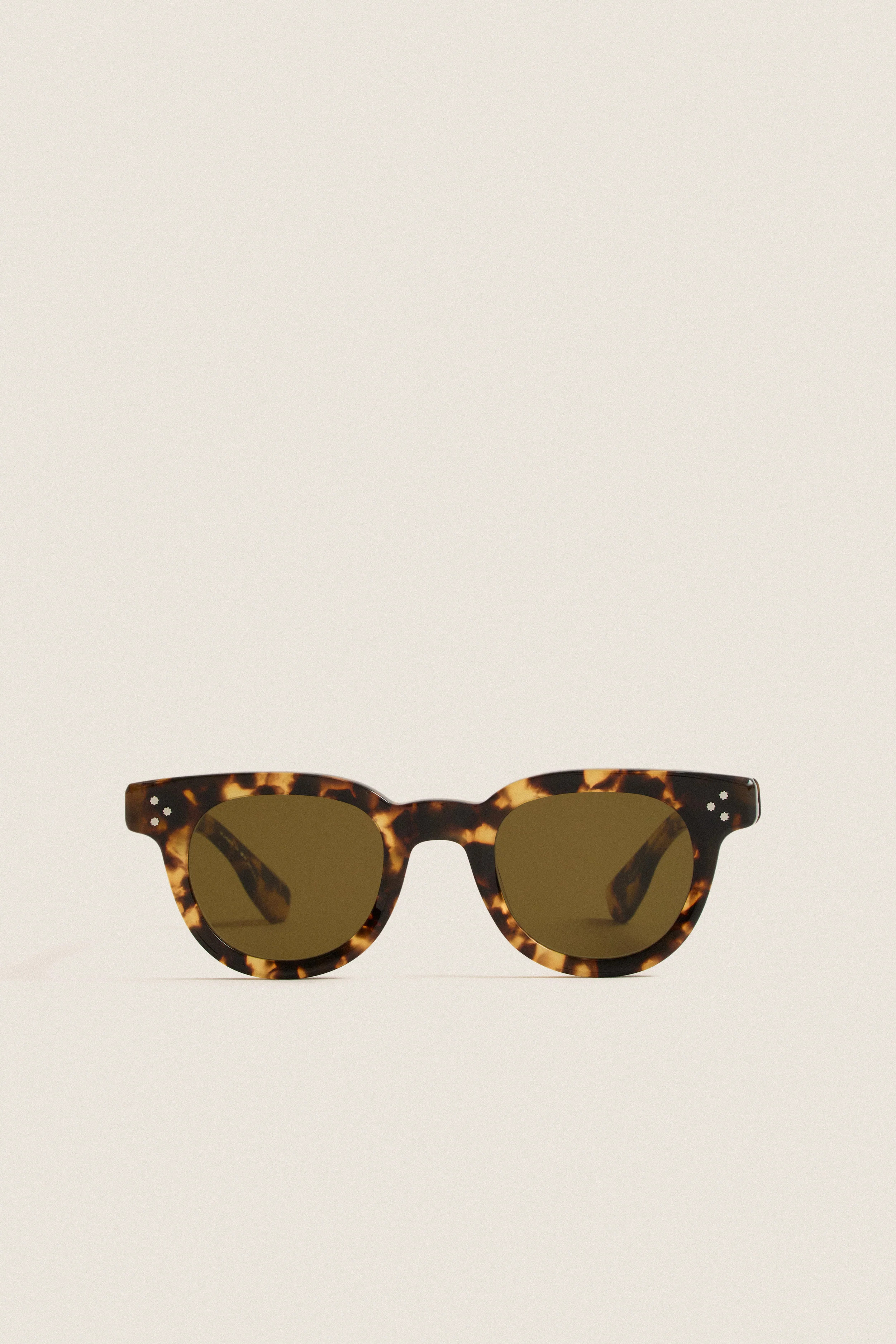 Nikko Tortoise Devon Sunglasses | Tuckernuck (US)