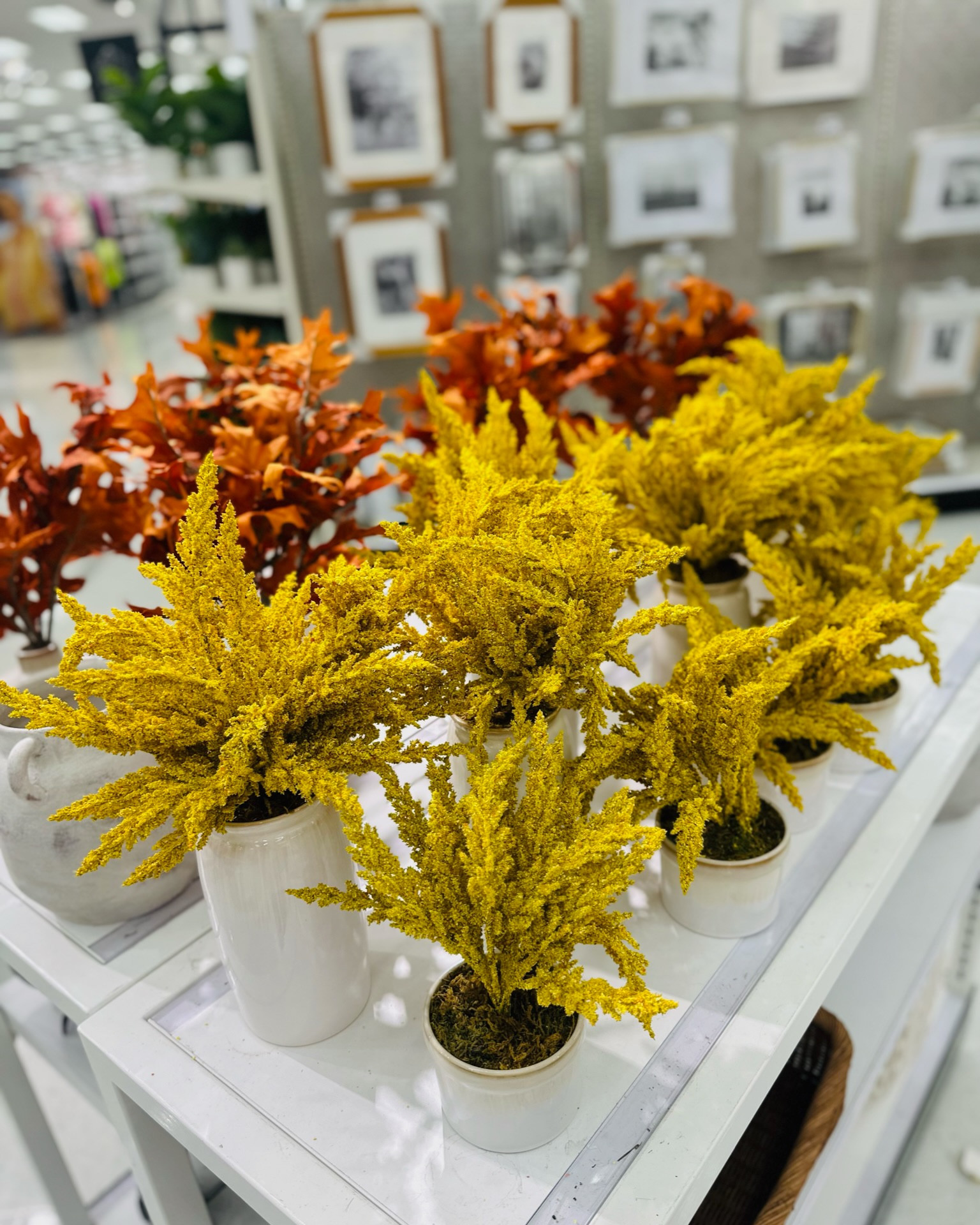 🍂 Embrace the cozy vibes of fall with our stunning Target fall decor collection! 🍁 #TargetFinds #FallDecor

#LTKhome #LTKHoliday #LTKSeasonal