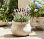 Pottery Barn | Pottery Barn (US)