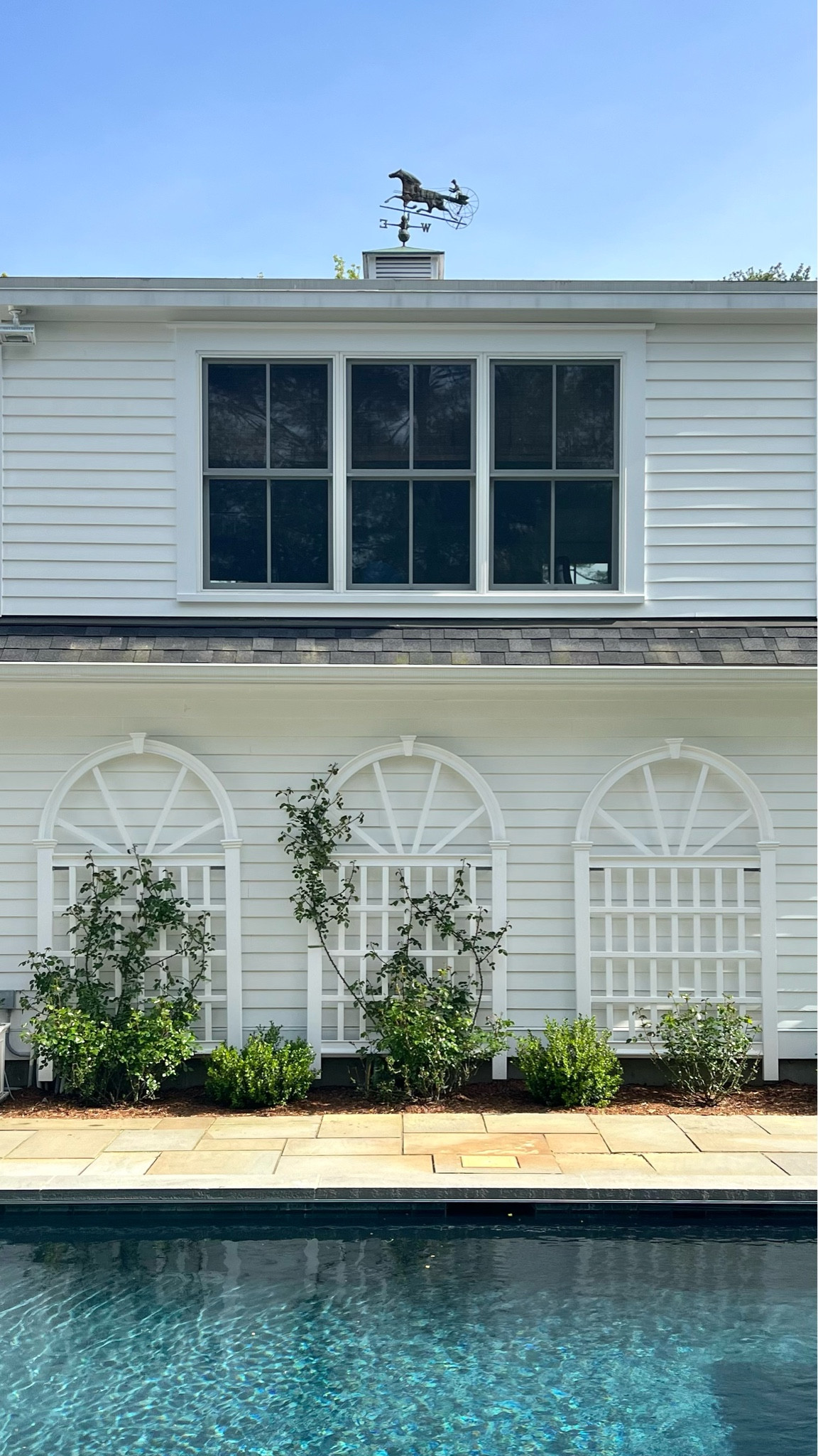 Can’t wait to see our climbing roses bloom on these pretty trellises 🌸 

#LTKFind #LTKSeasonal #LTKhome