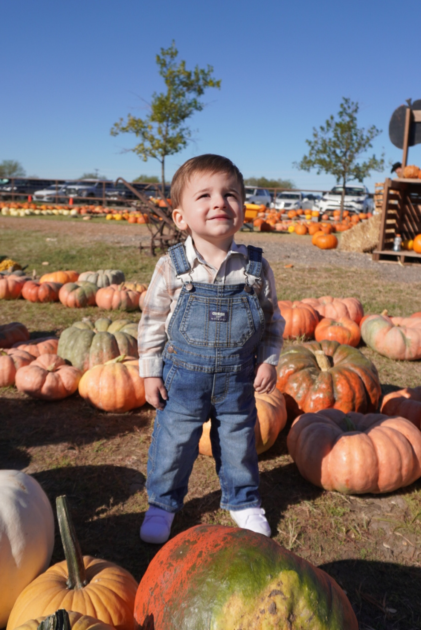 Is there anything sweeter than a baby at the pumpkin patch in overalls?! 🥹🎃🍂

#LTKbaby #LTKSeasonal #LTKkids