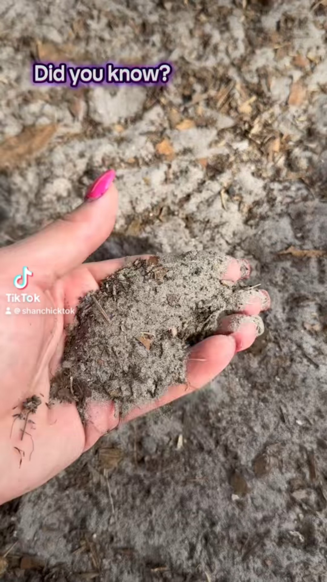 Use DOT SAND!! For the shovel...

#LTKFamily