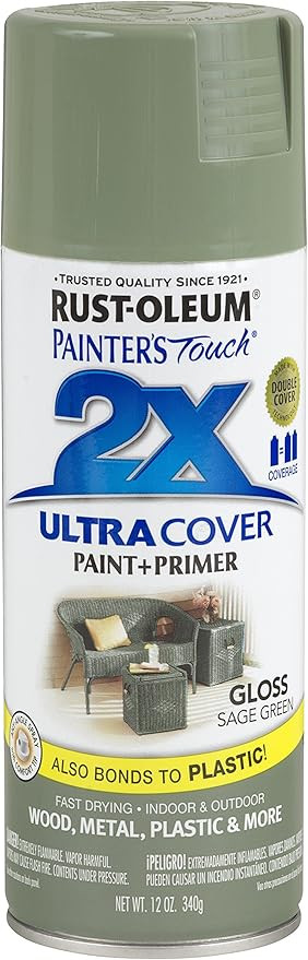 Rust-Oleum 249094 Painter's Touch 2X Ultra Cover Spray Paint, 12 oz, Gloss Sage Green | Amazon (US)