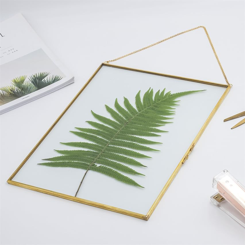 NCYP Handmade 14.2"x11" Hanging Gold Glass Floating Frame for Artwork Photo Certificate Picture, Lar | Amazon (US)