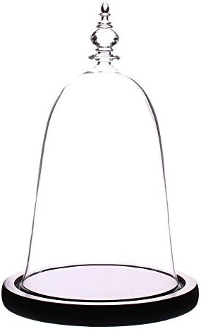 moonlear Glass Dome with Black Wooden Base Beauty and The Beast Theme | Amazon (US)