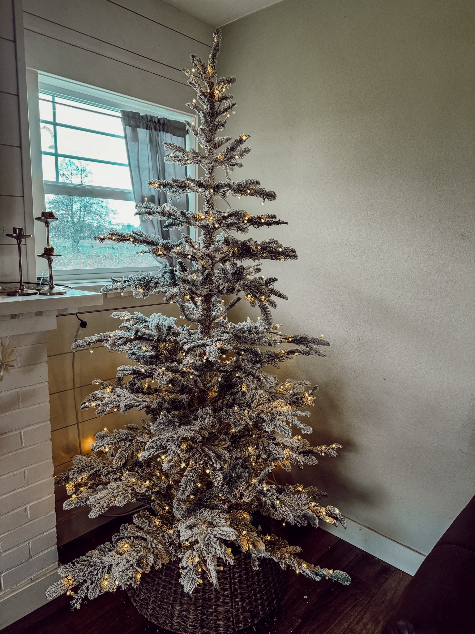 King of Christmas tree #christmastree 

#LTKHolidaySale #LTKSeasonal #LTKHoliday