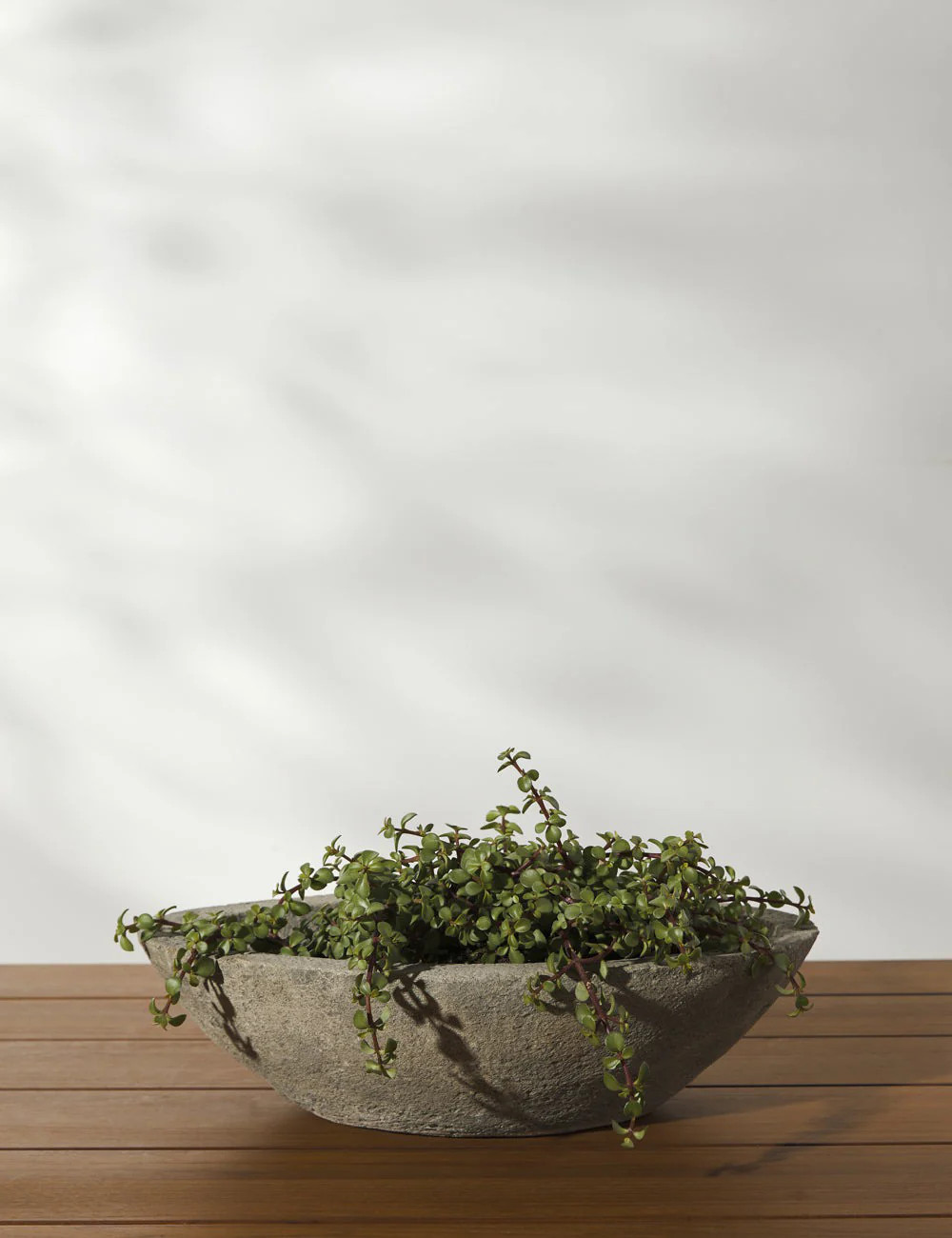 Cast Stone Tabletop Planters by Campania International | Lulu and Georgia 