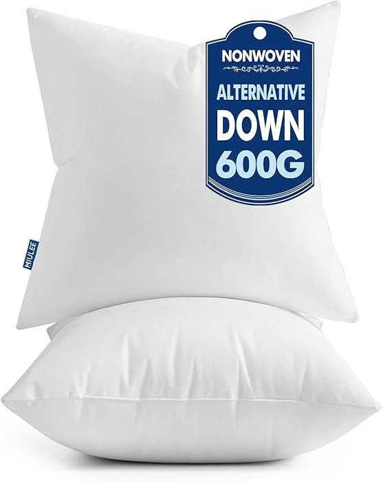 MIULEE Set of 2 Throw Pillow Inserts, 20x20 Inches, Nonwoven Pillow Inserts | Amazon (US)