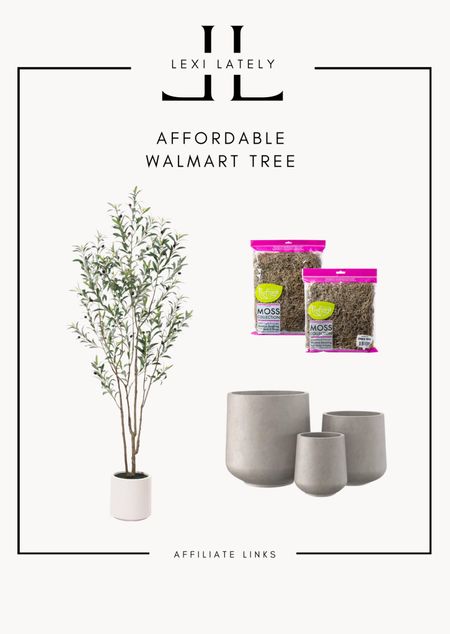 Walmart Find: 7’ Olive Tree

This beaut does not disappoint! I paired it with a gorgeous concrete planter from Amazon and stuffed the pot with Spanish Moss 😍

#amazonfind #walmartfind #affordablehomedecor #home #homedecor  

#LTKfindsunder50 #LTKsalealert #LTKhome