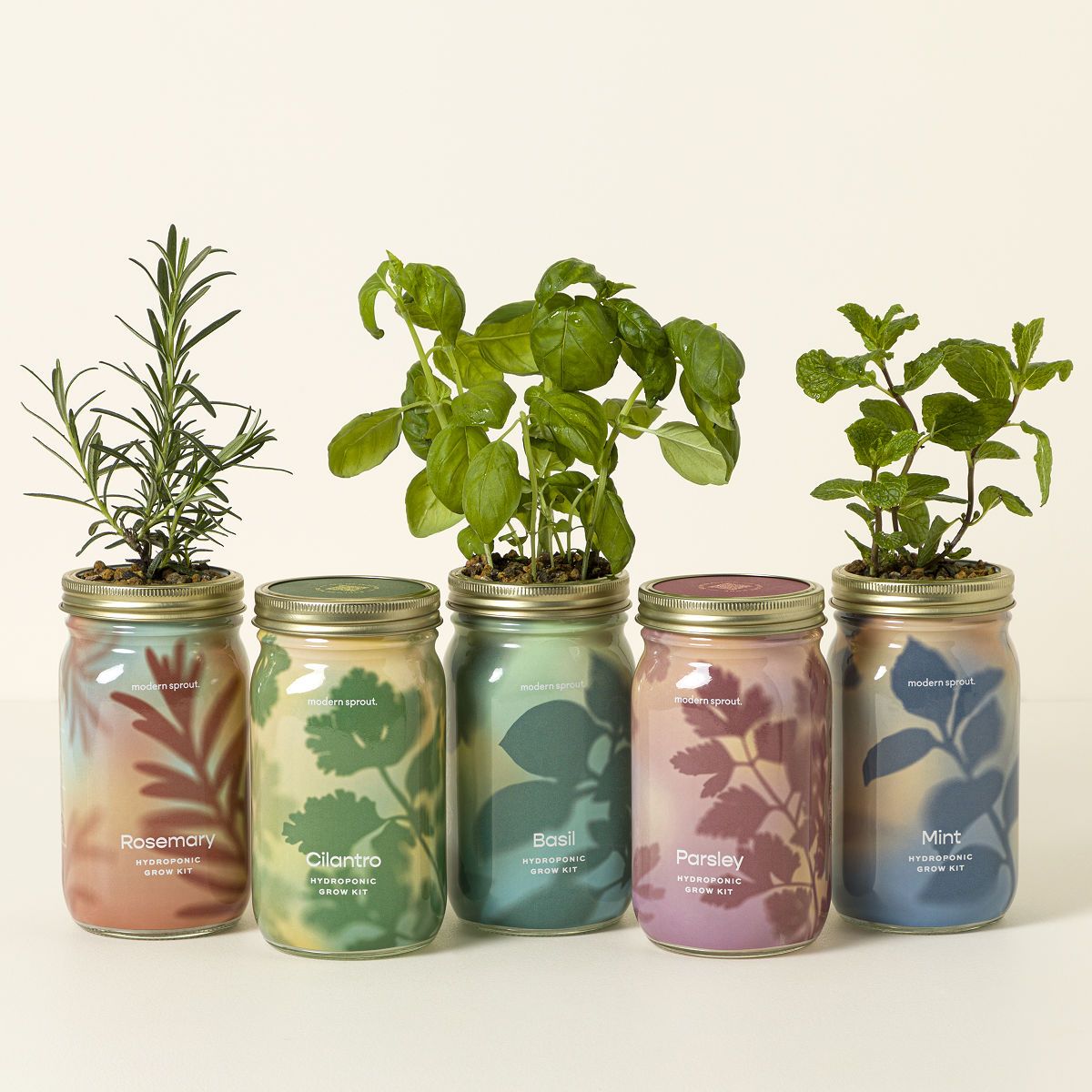 Mason Jar Indoor Herb Garden | UncommonGoods