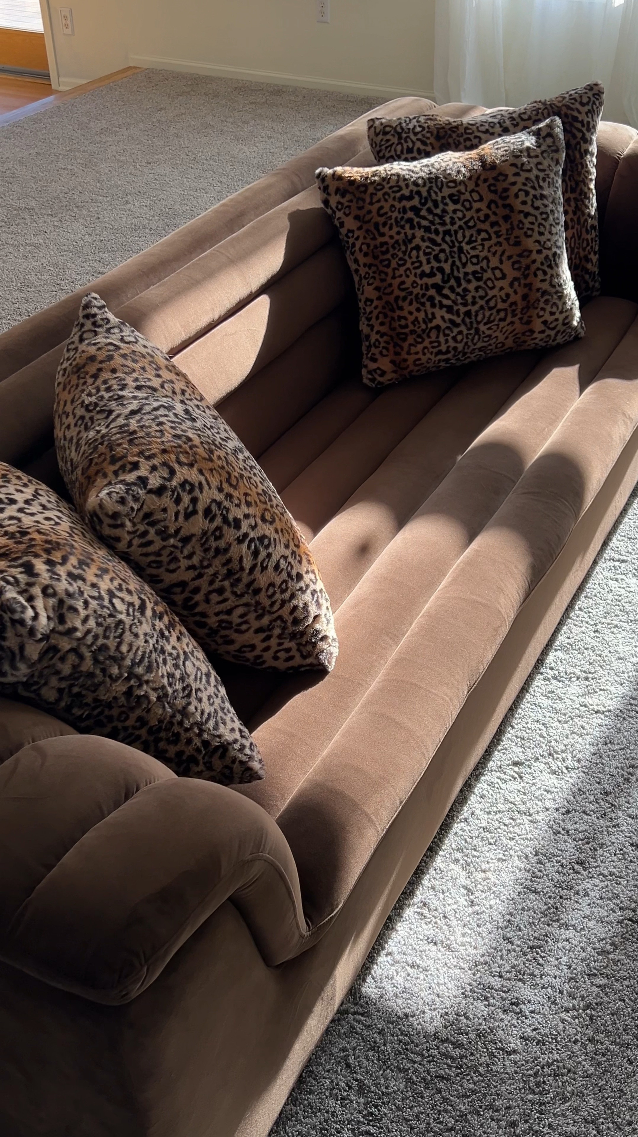 can’t get enough of leopard print.. found these on Amazon! 

#LTKHome #LTKFindsUnder50 #LTKVideo