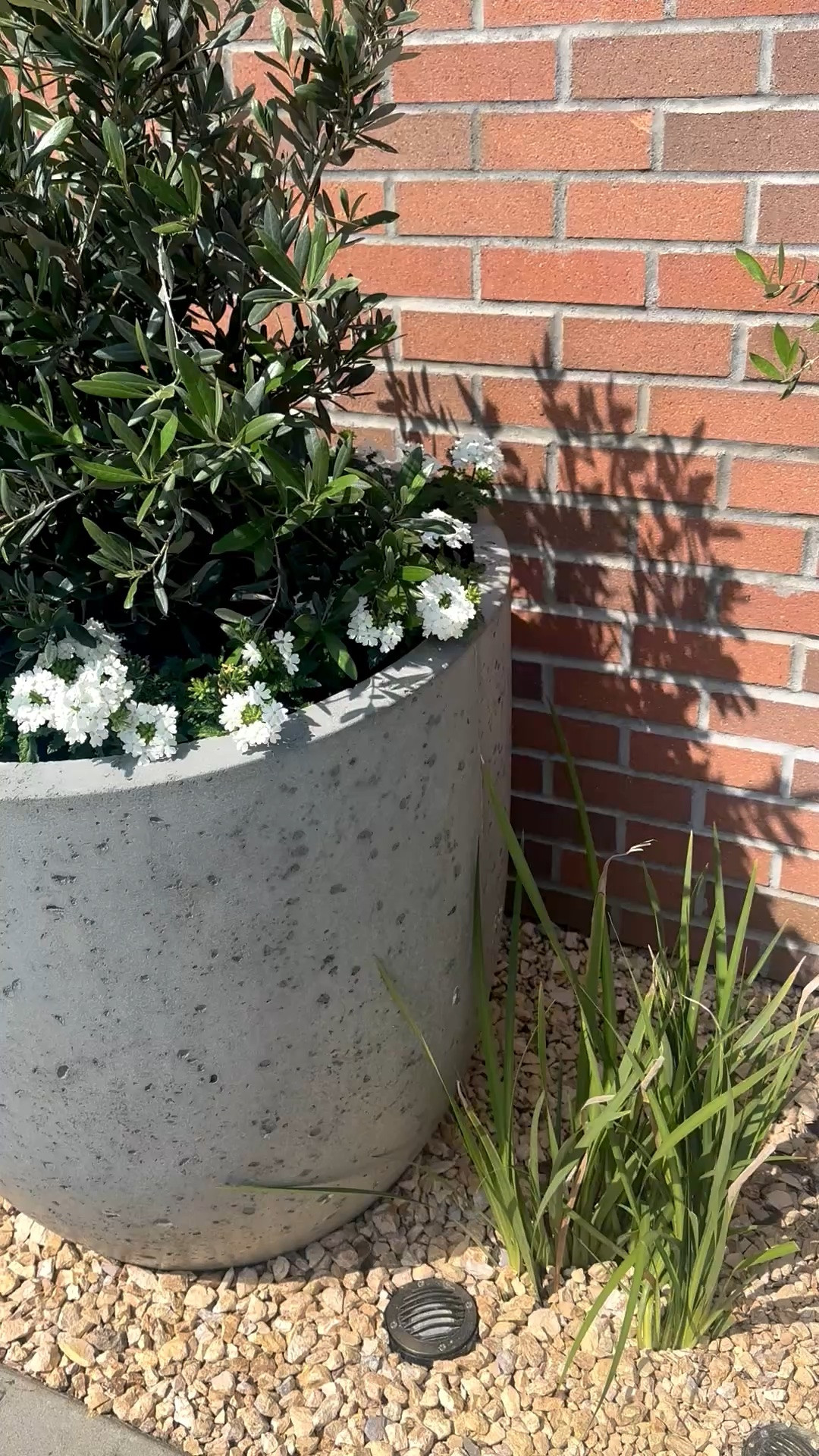 Good morning ☀️ Memorial Day weekend is the perfect time to refresh your outdoor spaces. A row of chic planters instantly brings that polished resort-style feel to your patio, garden, or entry.

Memorial Day Sale is on.

#MemorialDaySale #planters #outdoorplanters #gardeninspiration #patiodecor #outdoorliving #entrywaydecor #gardendecor #coastalchic #resortstyle #outdoorstyling

#LTKHome #LTKdayinmylife #LTKHome #LTKSaleAlert