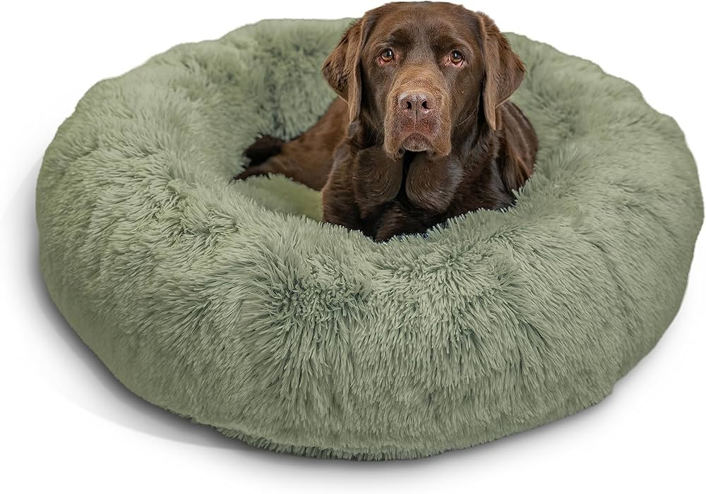 Best Friends by Sheri The Original Calming Donut Cat and Dog Bed in Shag Fur Sage, Large 36x36 | Amazon (US)