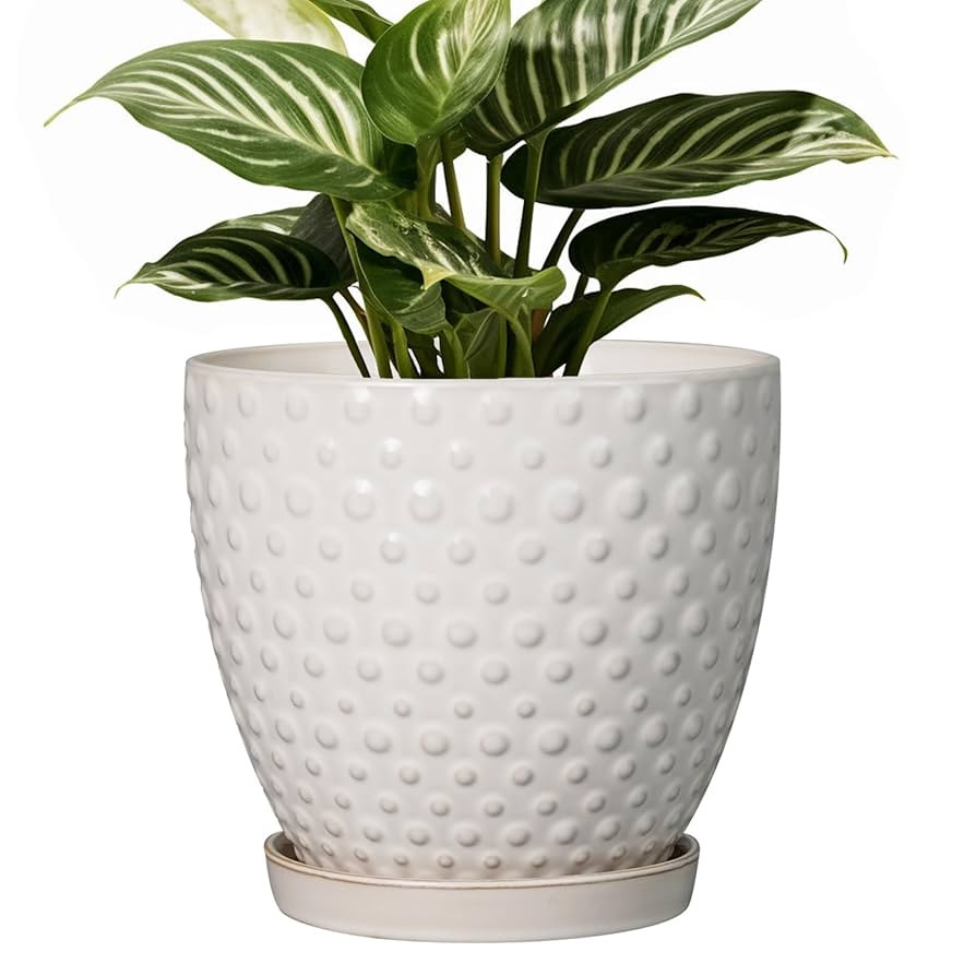 G EPGardening 6 Inch Ceramic Plant Pot with Drainage Hole and Saucer Round Planter Decorative Flo... | Amazon (US)