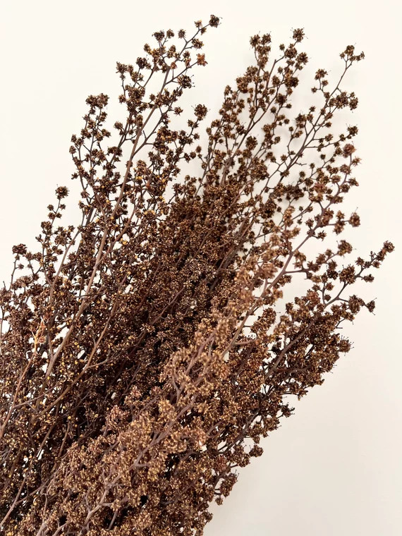 Preserved Dried Rustic Stringlia Sprigs Branches  Dried | Etsy | Etsy (US)