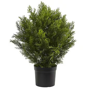 Nearly Natural 24-in Green Indoor/Outdoor Artificial Cedar Artificial Plant | Lowe's