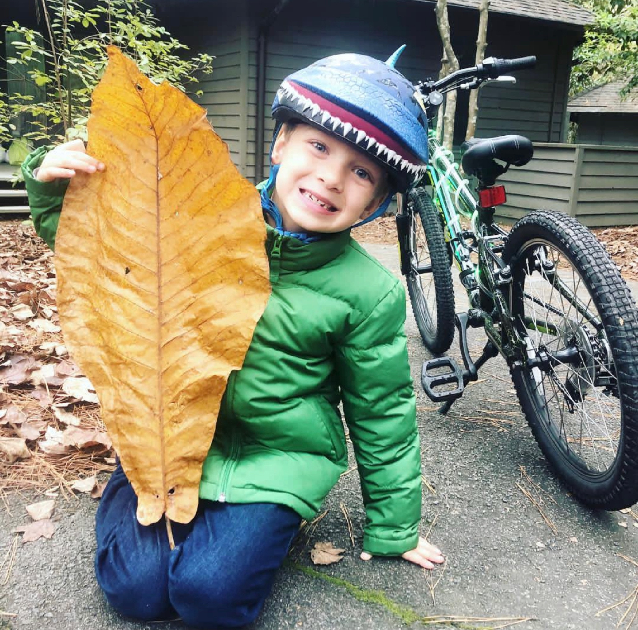 This helmet was a total favorite for a long time! It’s sturdy and well made. He felt cool wearing it and I knew he was protected. A win, win for us!

#LTKfamily #LTKkids #LTKGiftGuide