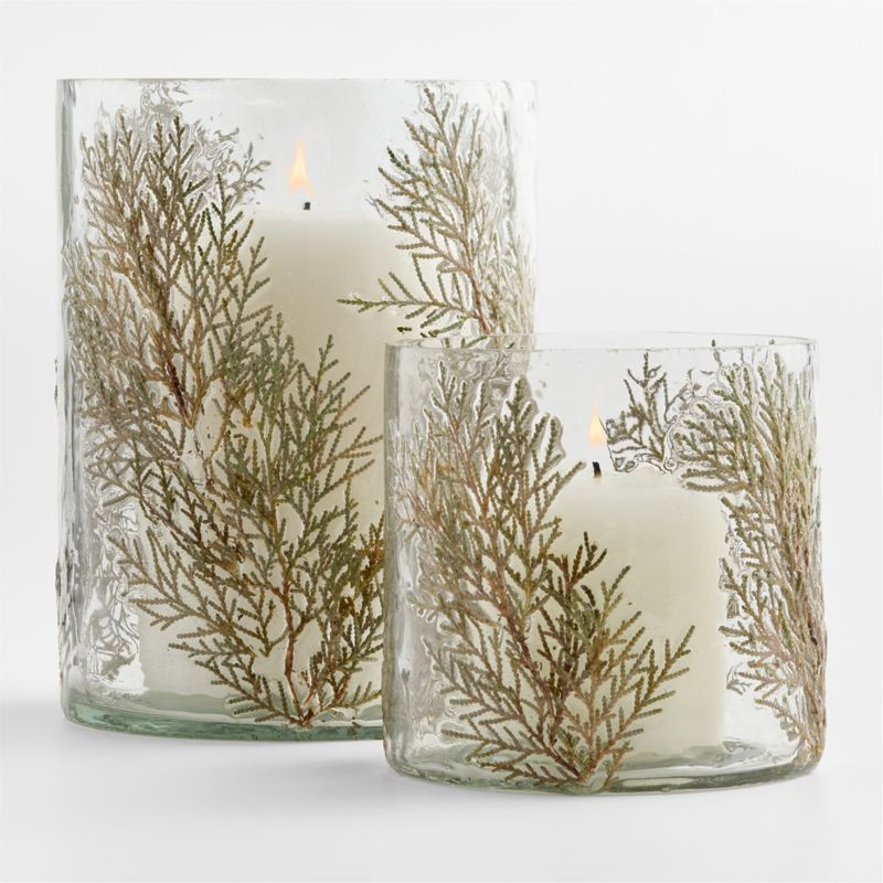 Botanical Glass Hurricane, Small 5" | Crate & Barrel