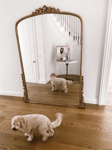 This VIRAL Anthropologie mirror is 40% off right now in FIVE different colors (+ sizes) and we’re totally freaking out! Score it on sale while you can! 🙌🏼✨

#LTKhome #LTKsalealert #LTKxAnthro