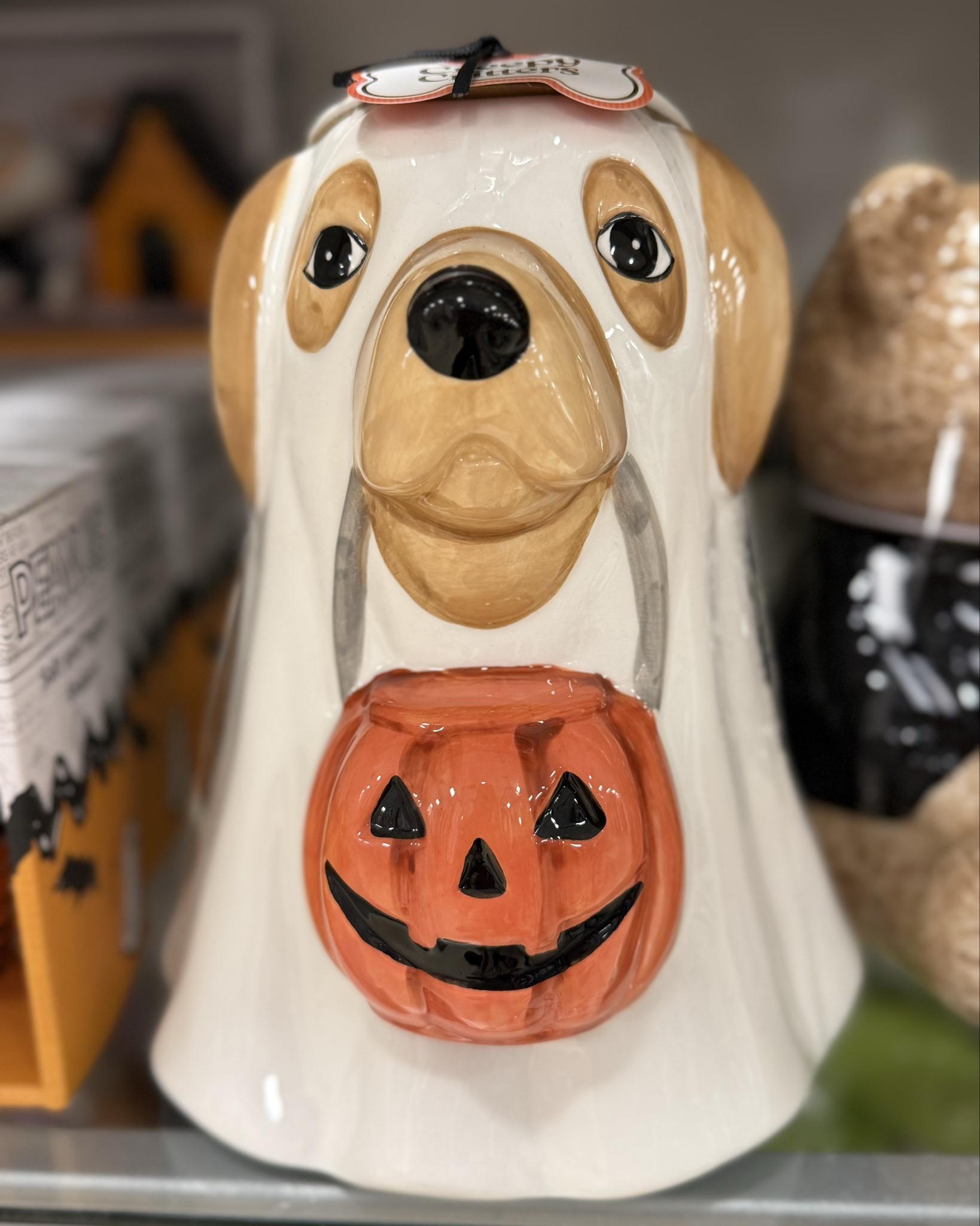 Some Fall and Halloween finds I found in store today! Linked a similar cheese dome

#LTKSeasonal #LTKFindsUnder50 #LTKHome