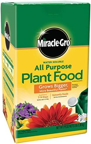 Miracle-Gro Water Soluble All Purpose Plant Food, 3 lb | Amazon (US)