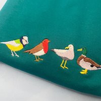 Embroidered British Birds Sweatshirt Garden Bird Jumper | Etsy (US)