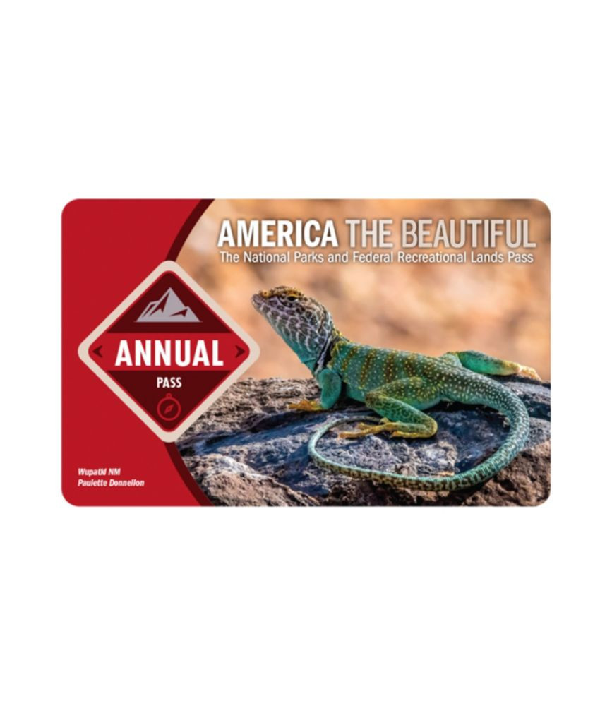 2024 America the Beautiful National Parks and Federal Recreational Lands Annual Pass Multi Color | L.L. Bean