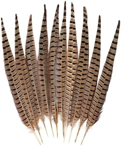 FeelfunFeather 5pcs Pheasant Feather 16-18inch 40-45cm Natural Male Ringneck Tails Feathers for D... | Amazon (US)