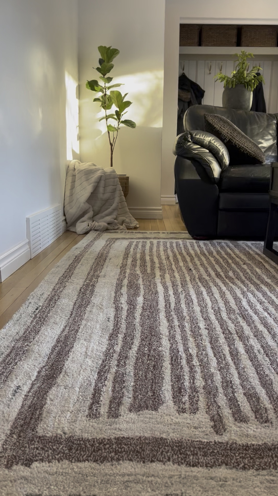 My rugsUSA wool rug is 40% off with code: FLASH40 + free shipping! 

I’ve linked mine, as well as some of my other favourite neutral rugs! Perfect for your living room, bedrooms, or entryway! 


Canada rugs, rugsaUSA, sale alert, spring sale, 40% off area rug, boujee on a budget, easy to clean, simple home, minimalist home, neutral area rugs, Kate and Kevin love, designer inspired, washable area rugs, flash sale

#LTKOver40 #LTKHome #LTKSaleAlert