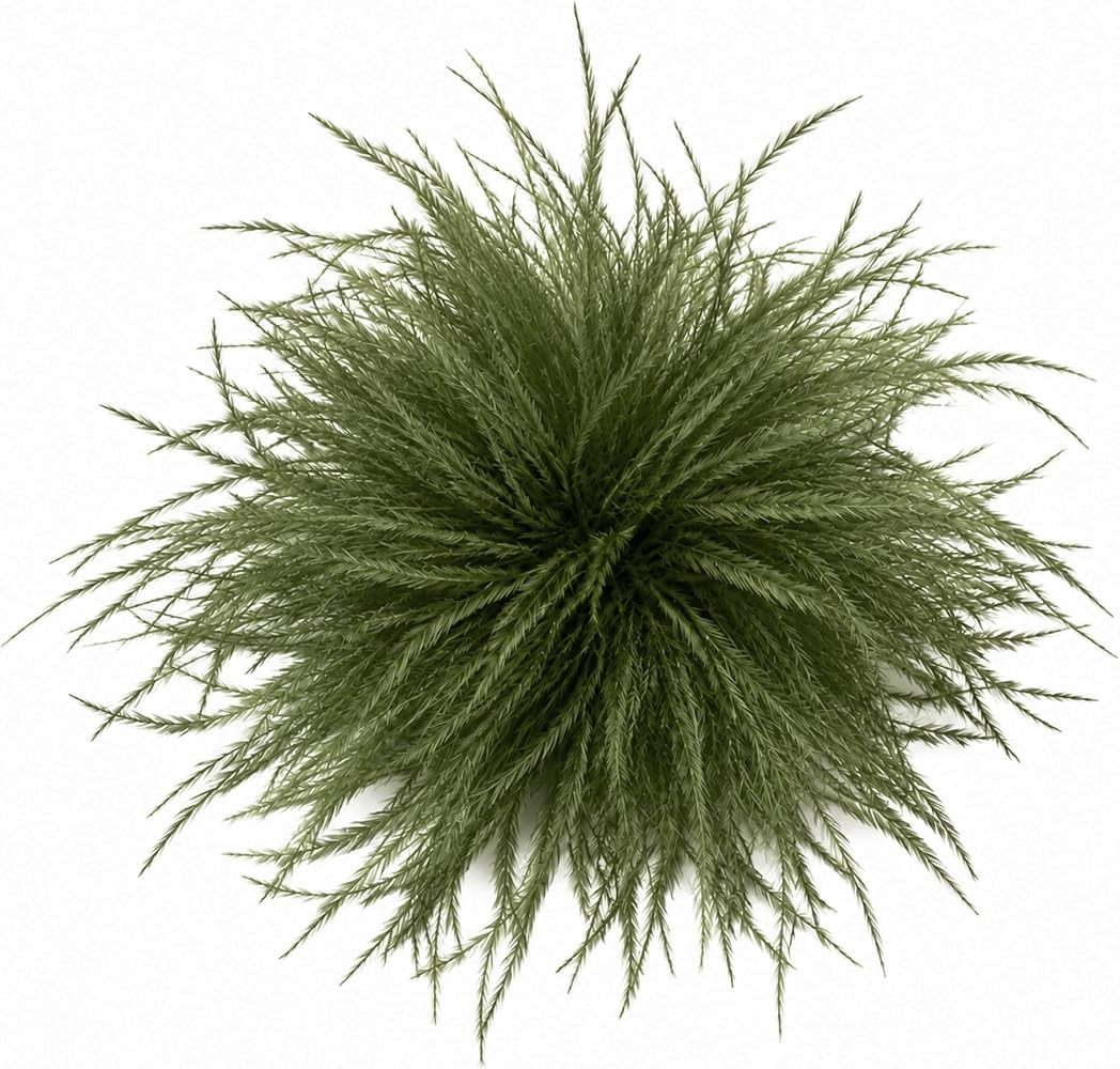 Ostrich Feather Brooch Pin for Clothes, Feather Flower Hair Clip for Women | Amazon (US)
