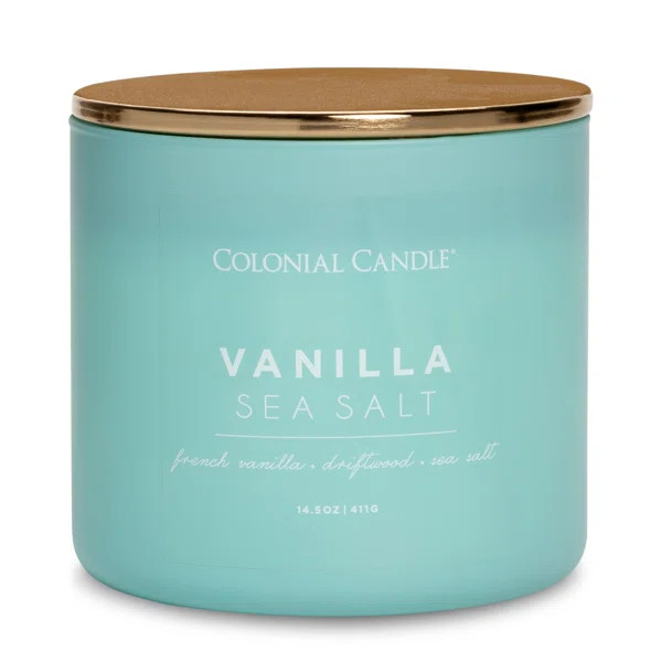 Vanilla Sea Salt Scented Jar Candle | Wayfair North America