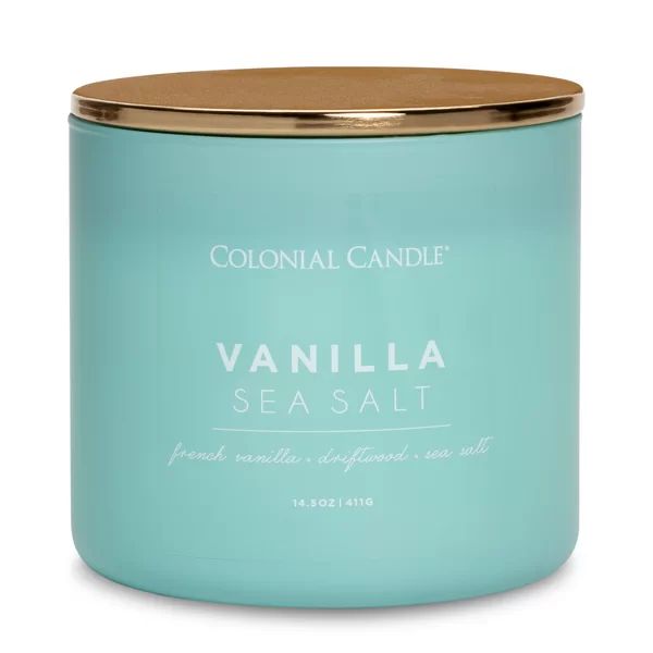Vanilla Sea Salt Scented Jar Candle | Wayfair North America